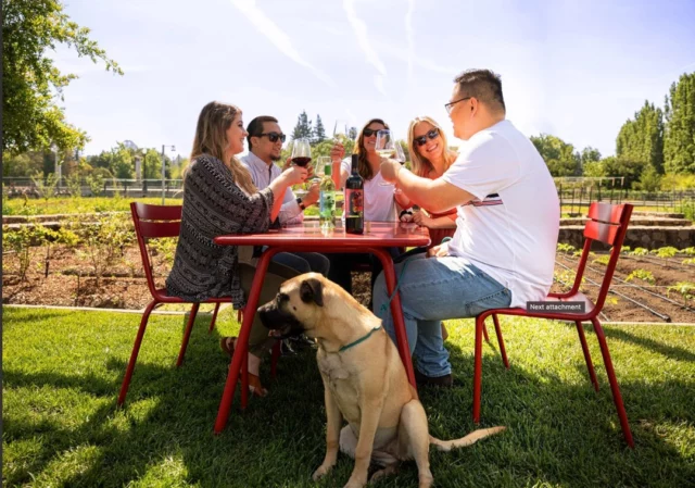 There's no better season than summer to gather with friends outdoors and savor our acclaimed sustainable wines.
