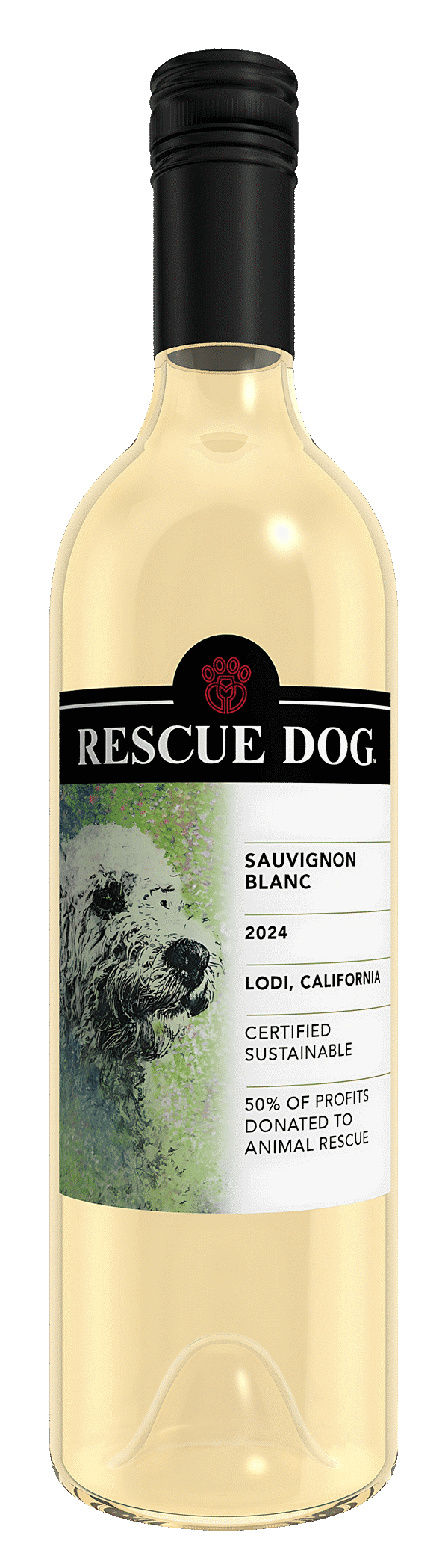 2024 Sauvignon Blanc